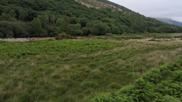 Palaeochannels visible in the Ennerdale delta off the river Liza