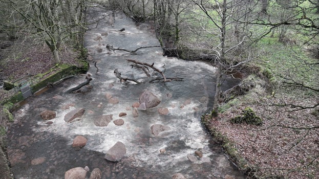 River with rocky rapids