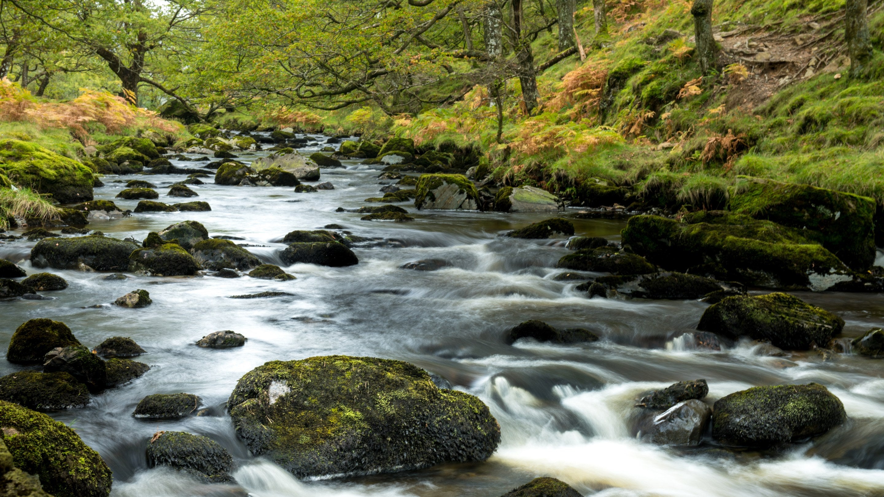 A view of Watendlath Beck Borrowdale, Lake District