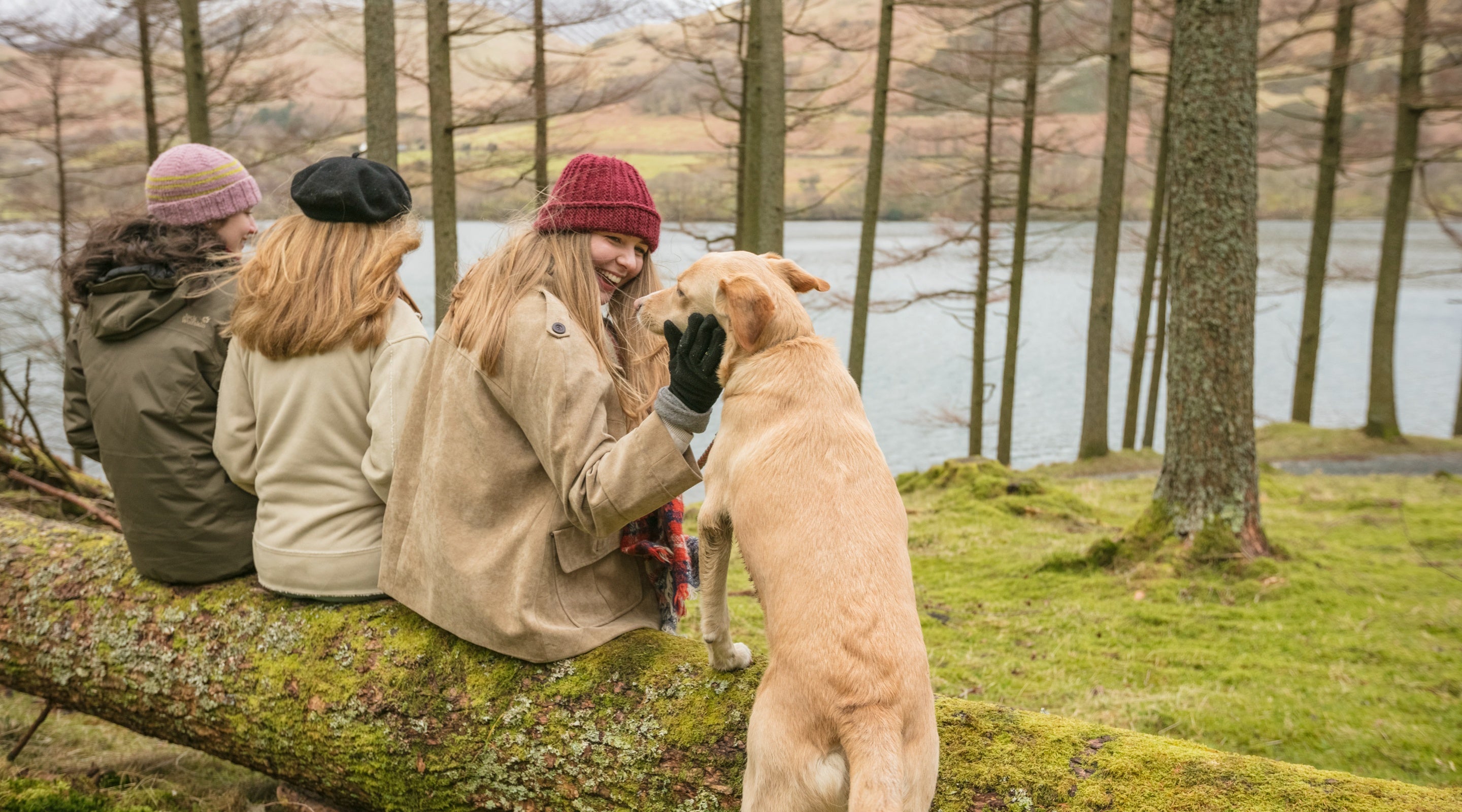 Group of women resting on a log with their dog, looking towards the lake through the trees in autumn