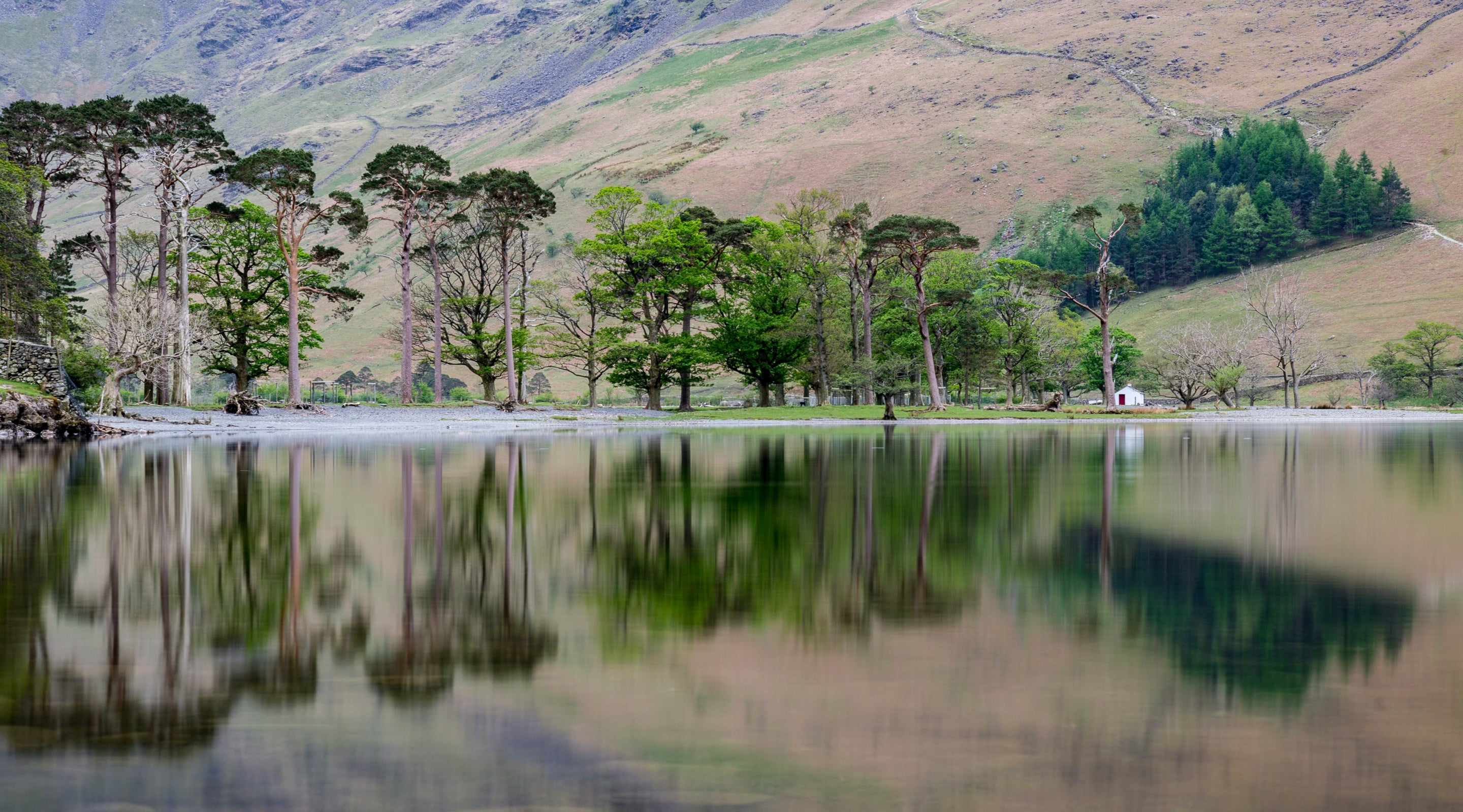 Trees reflected on a calm Buttermere with the fellside in the background