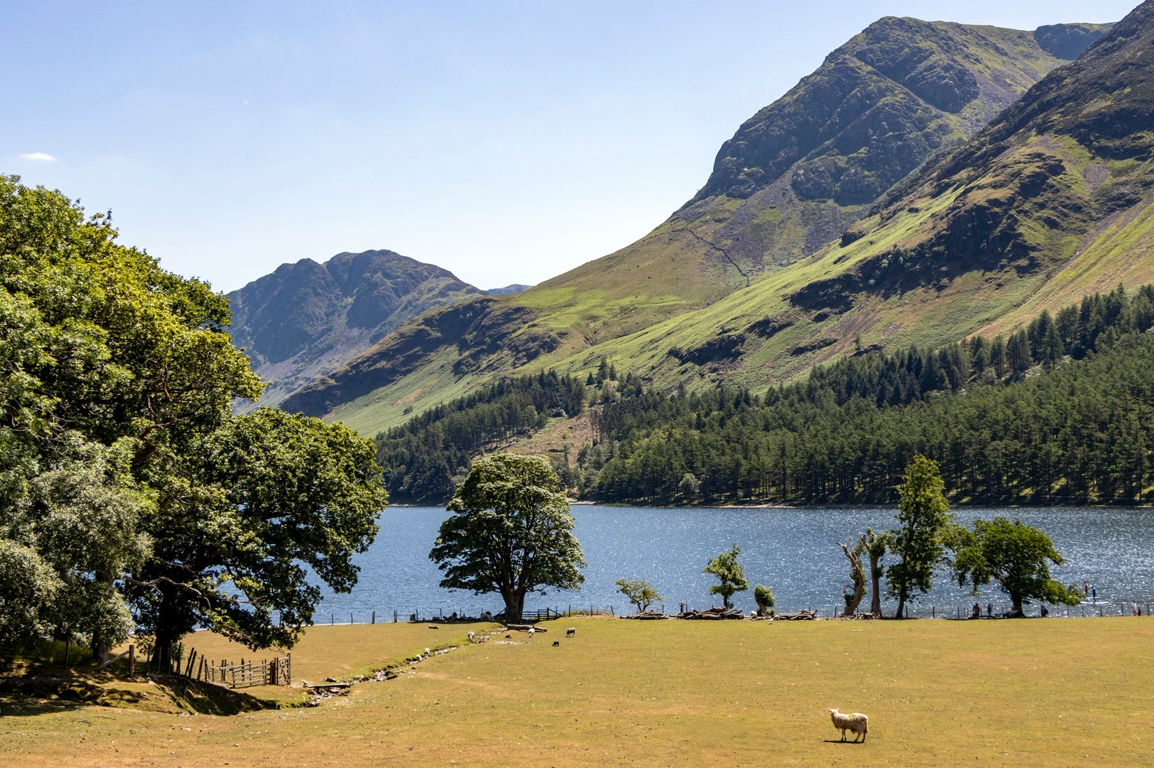 Wilkinsyke Farm in Buttermere Valley, Cumbria, with grazing fields beside the lake and dramatic green fells rising beyond under a clear blue sky.