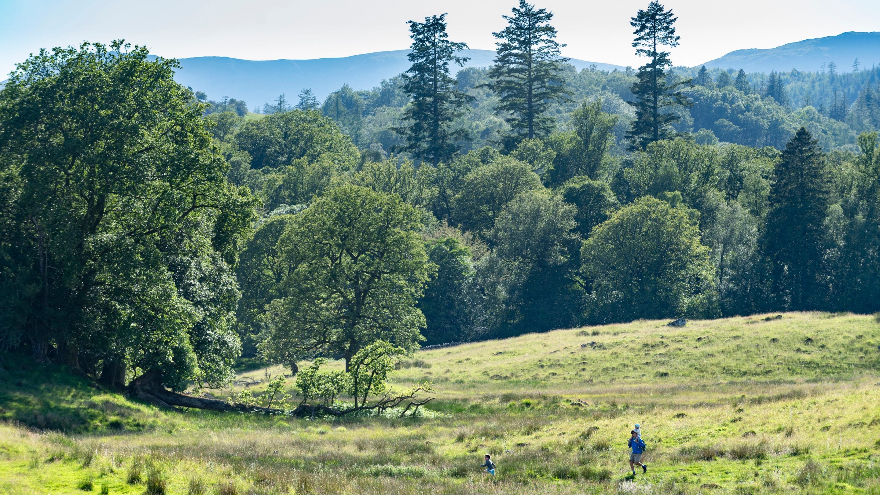Walkers in the distance crossing a meadow at Low Wray campsite in Ambleside, Lake District