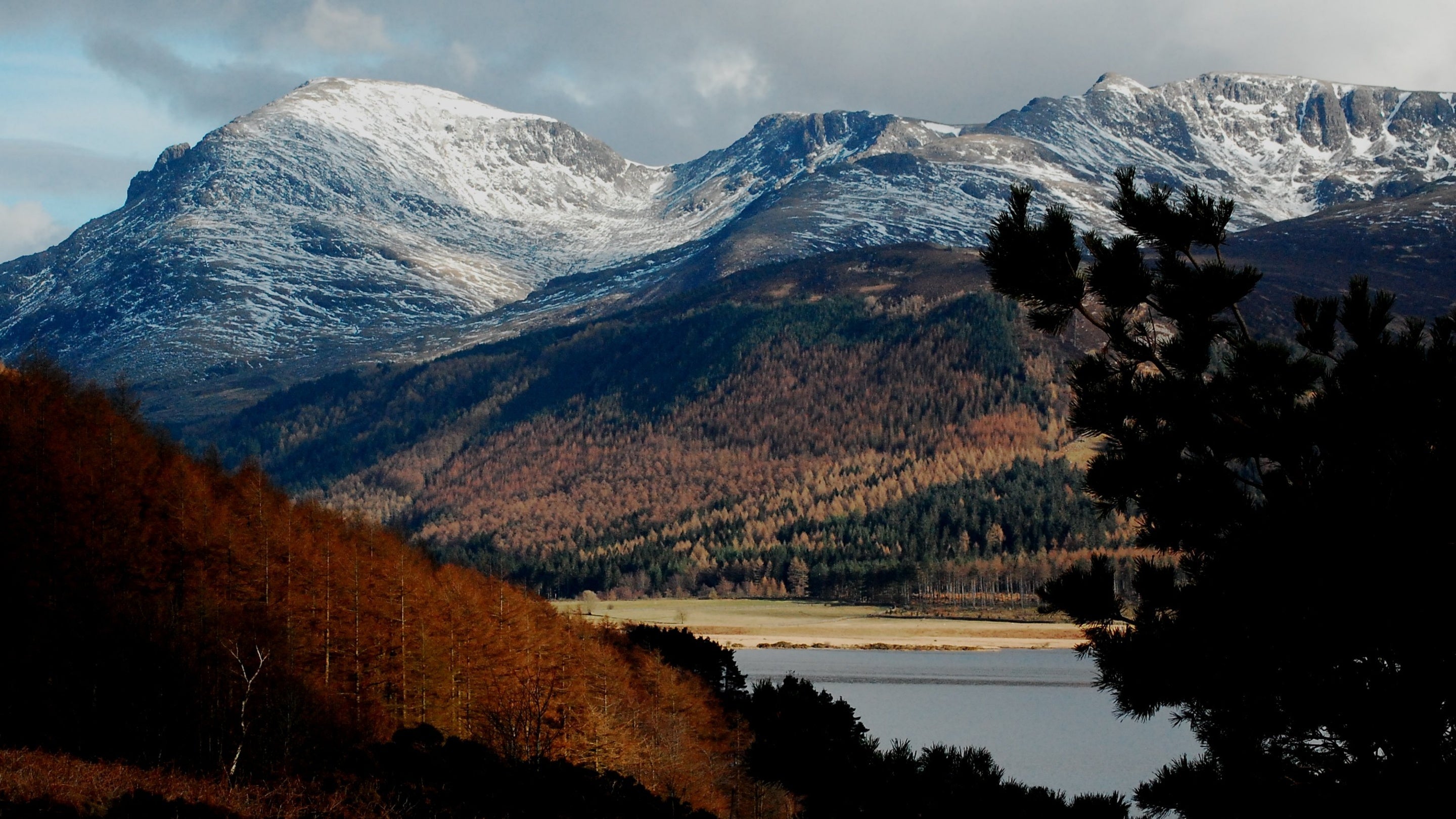 A view of snow capped fells and winter sunlight on bare trees in Ennerdale, Lake District, Cumbria
