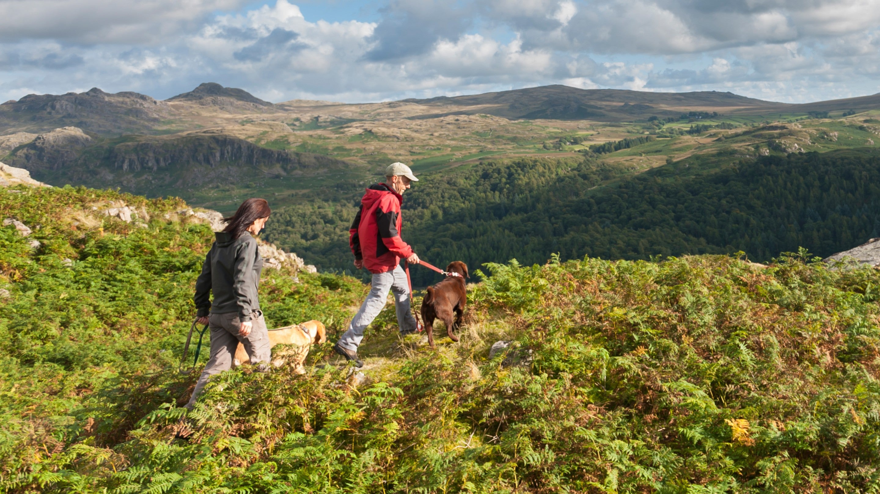 Walkers and their dogs at Blea Tarn in Eskdale and Duddon Valley, Lake District