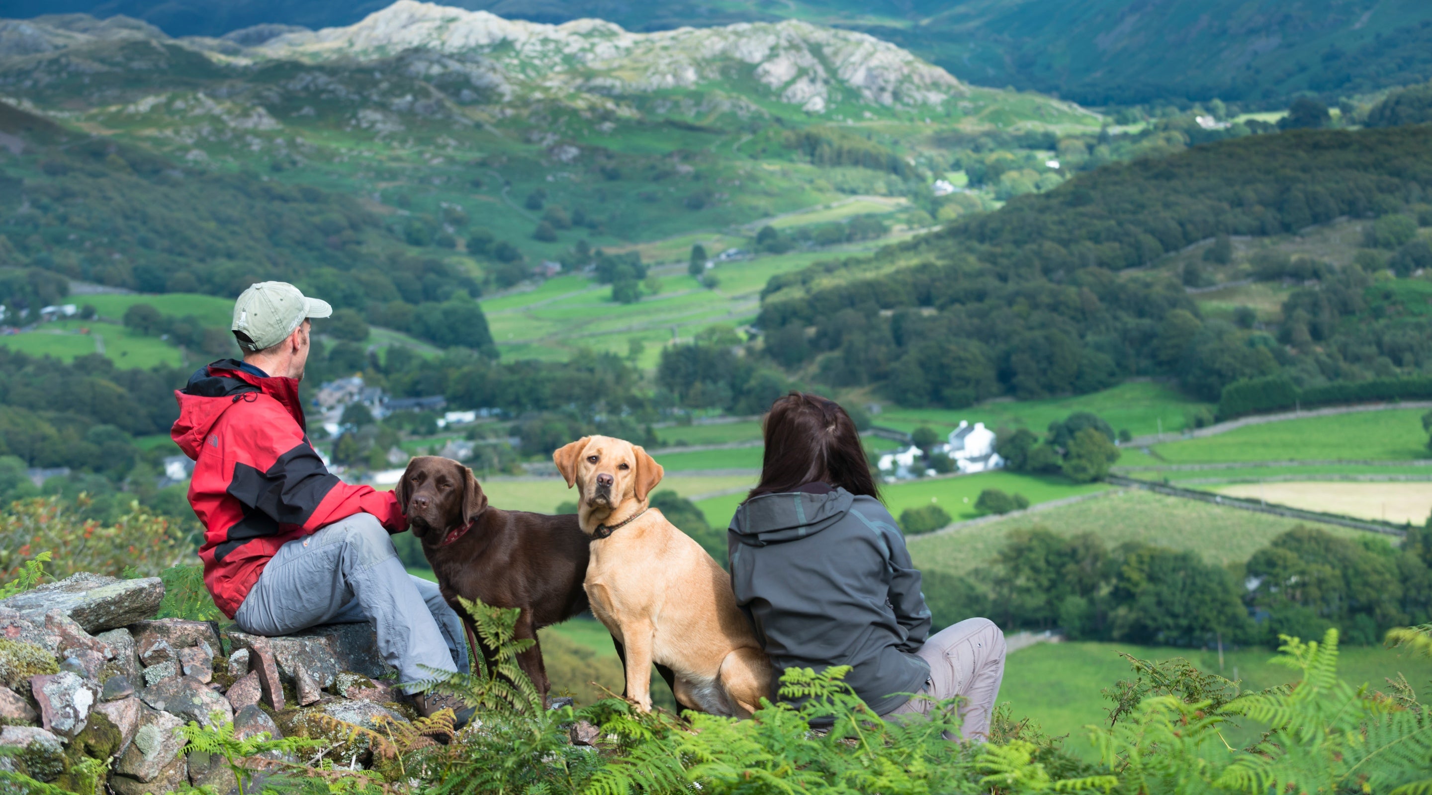 A couple with their two dogs taking a rest to look out at the fields and fells from a high point in Eskdale