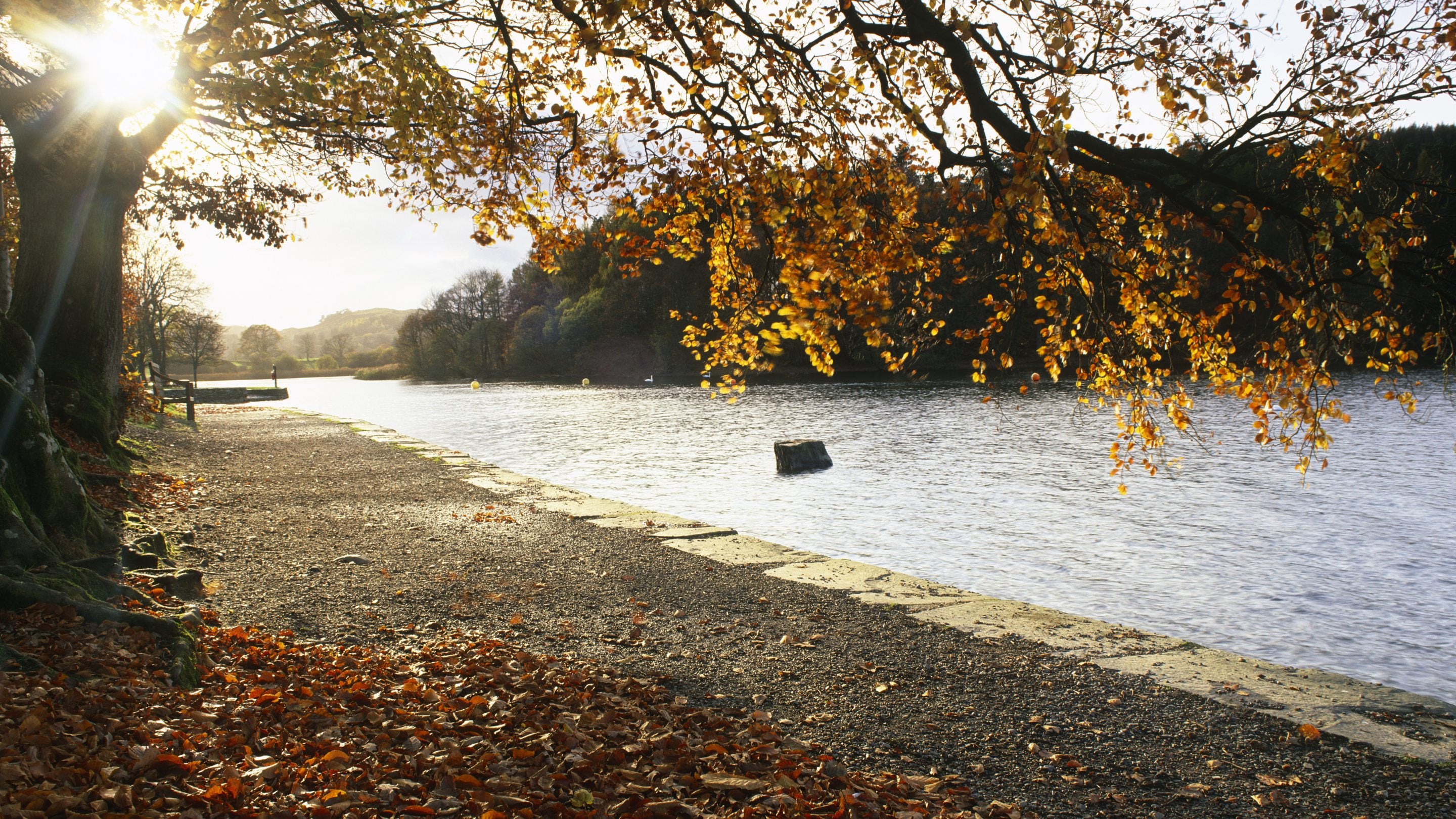 On a path by the lake with an overhanging autumn tree as the sun goes down