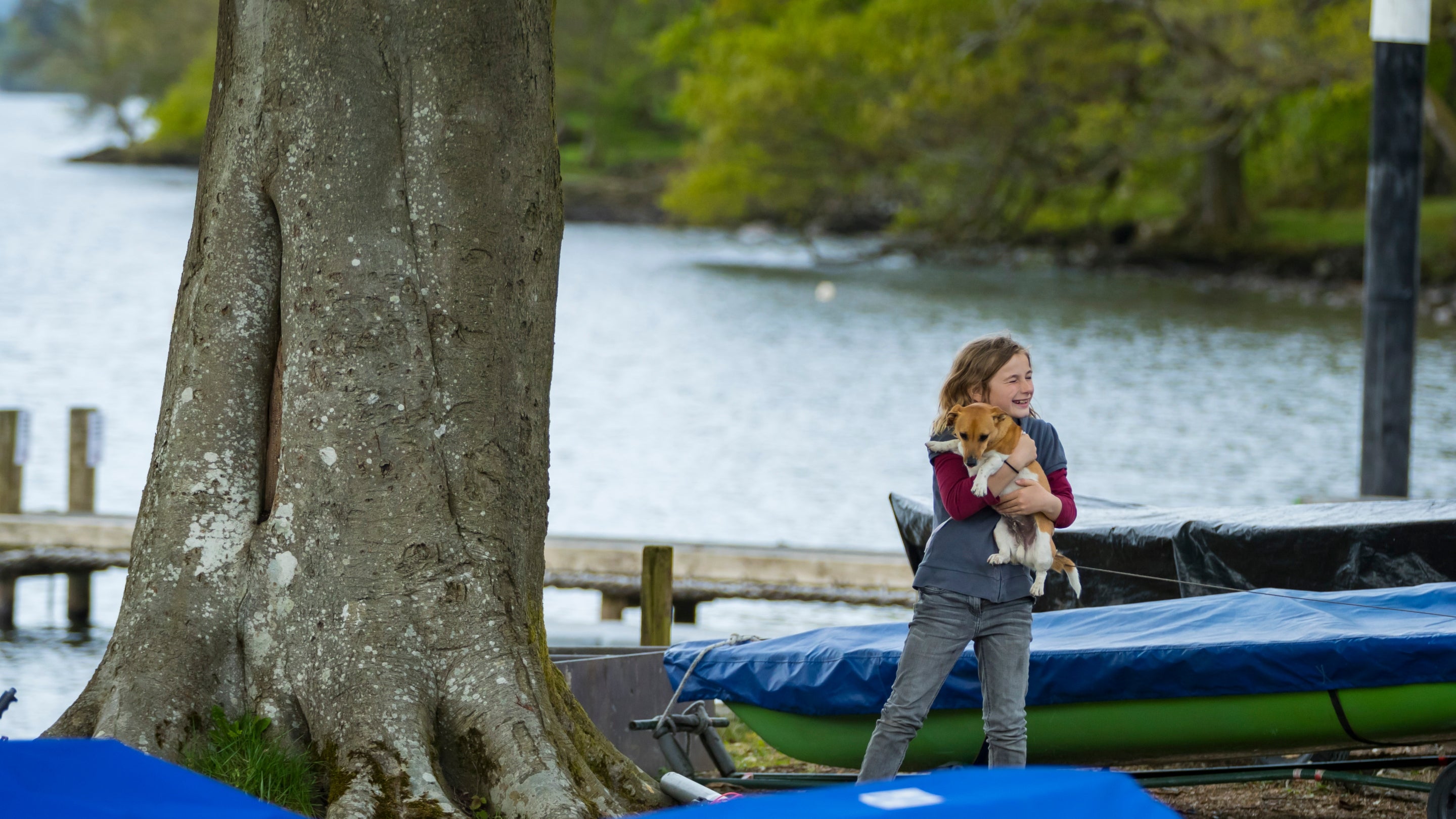 Girl holding a small dog at Fell Foot park on the shore of Windermere, Lake District, Cumbria
