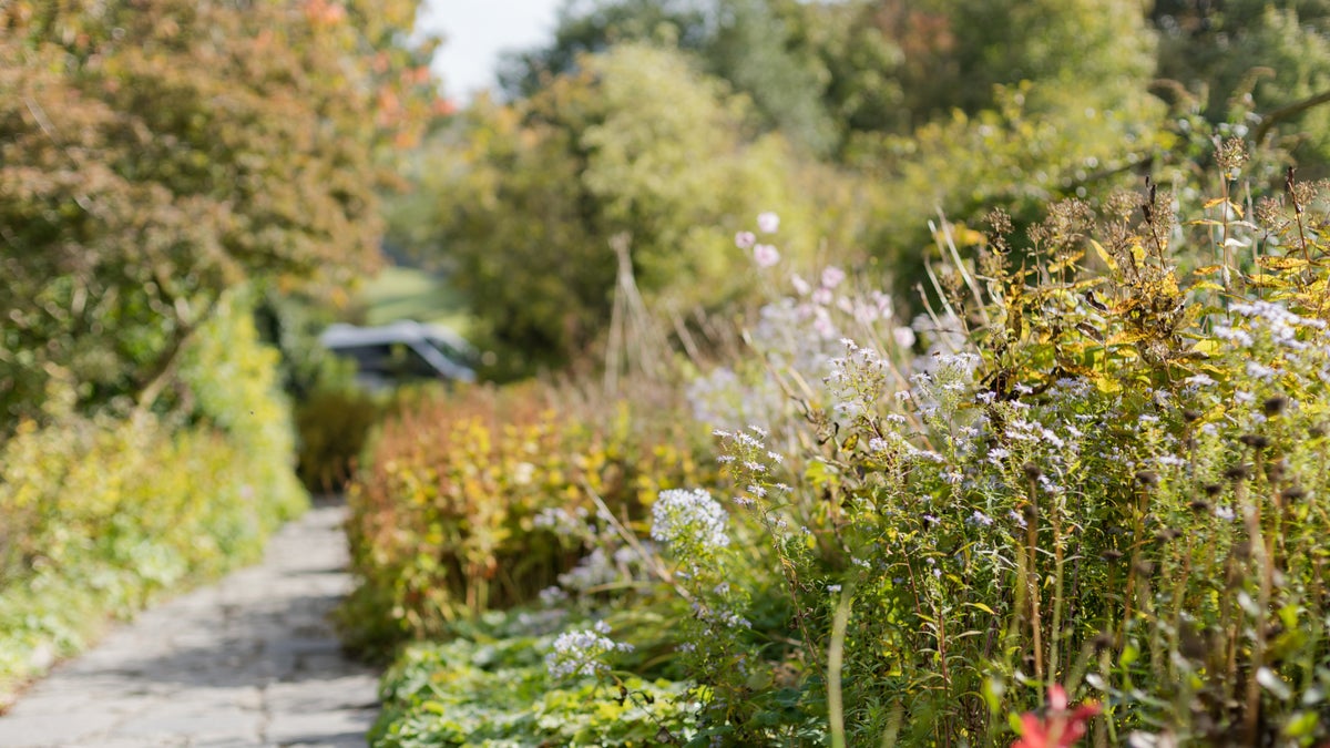 Visiting Hill Top's garden Cumbria National Trust