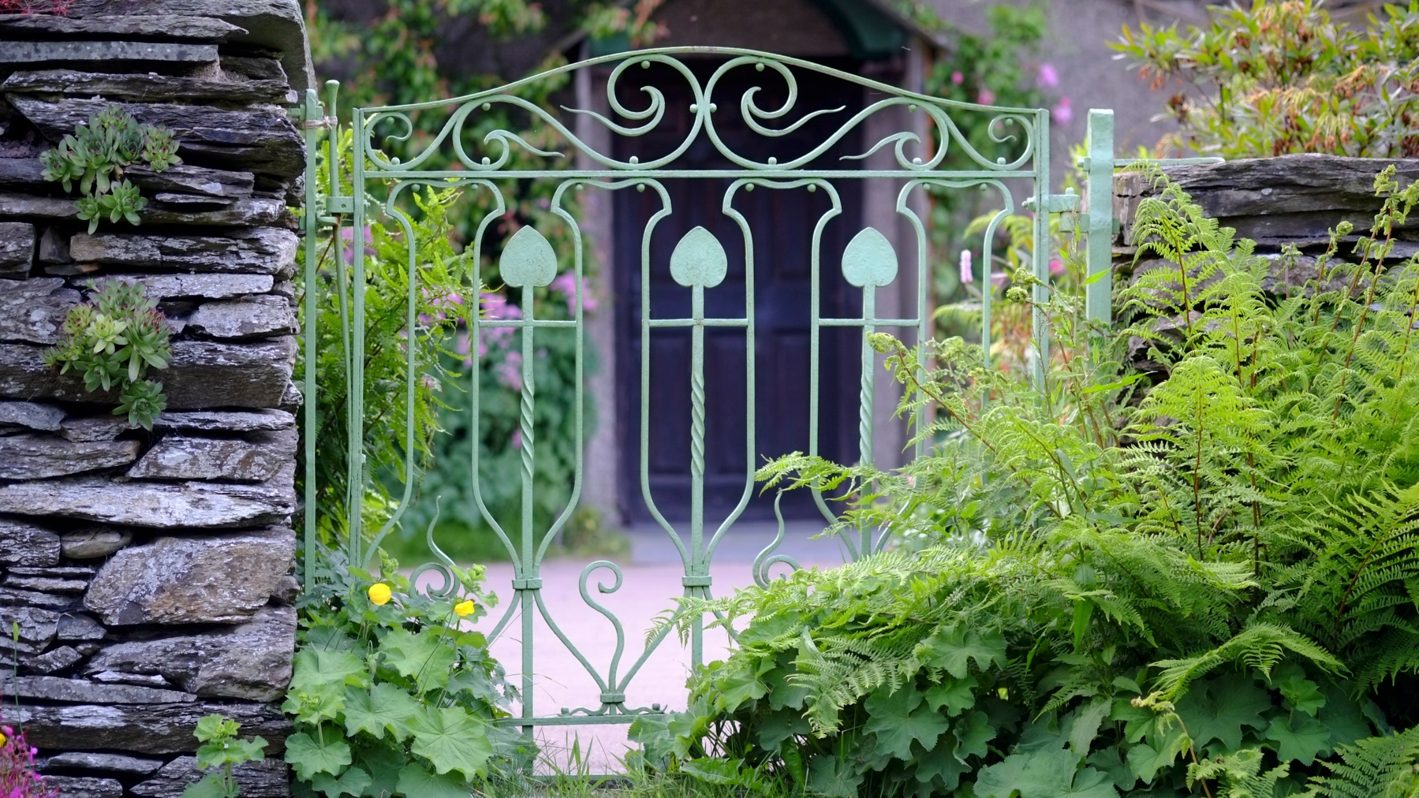 A close-up view of a green metal gate at Hill Top with a dry stone wall either side of the gate, and a large fern growing next to the gate.