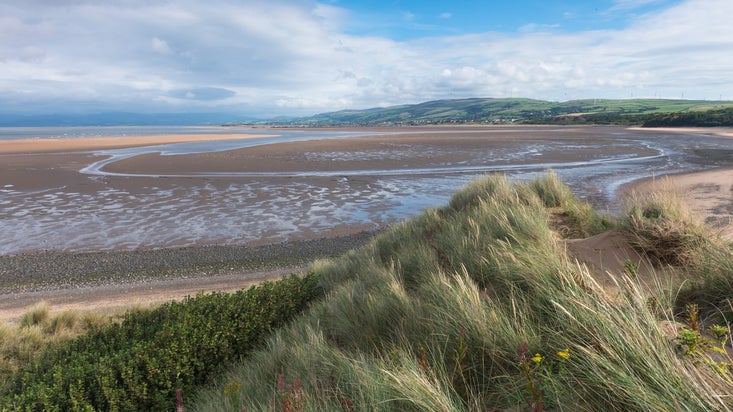 National Trust - Sandscale Haws National Nature Reserve