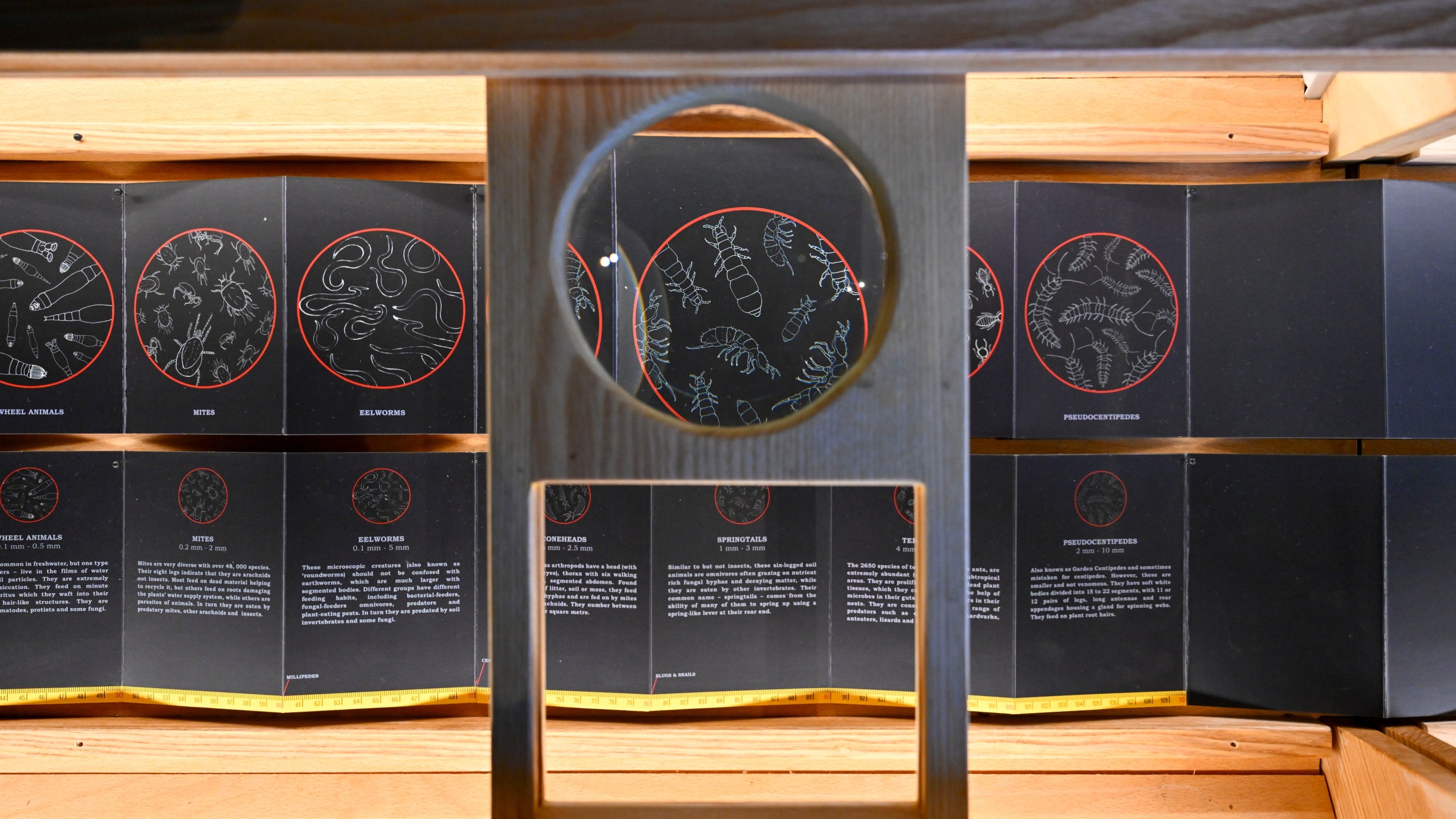 Soil at Sizergh exhibition