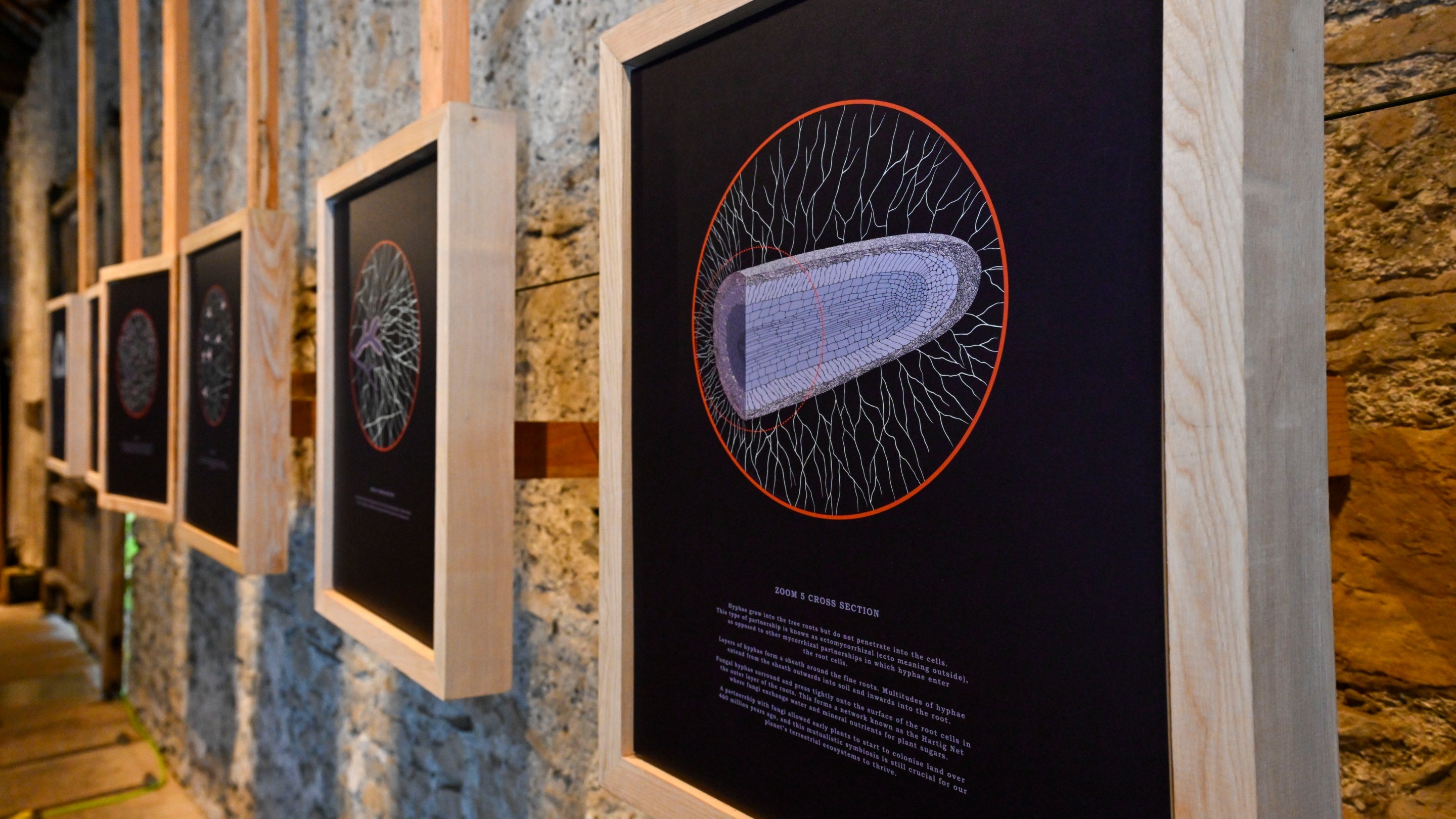 Soil exhibition at Sizergh