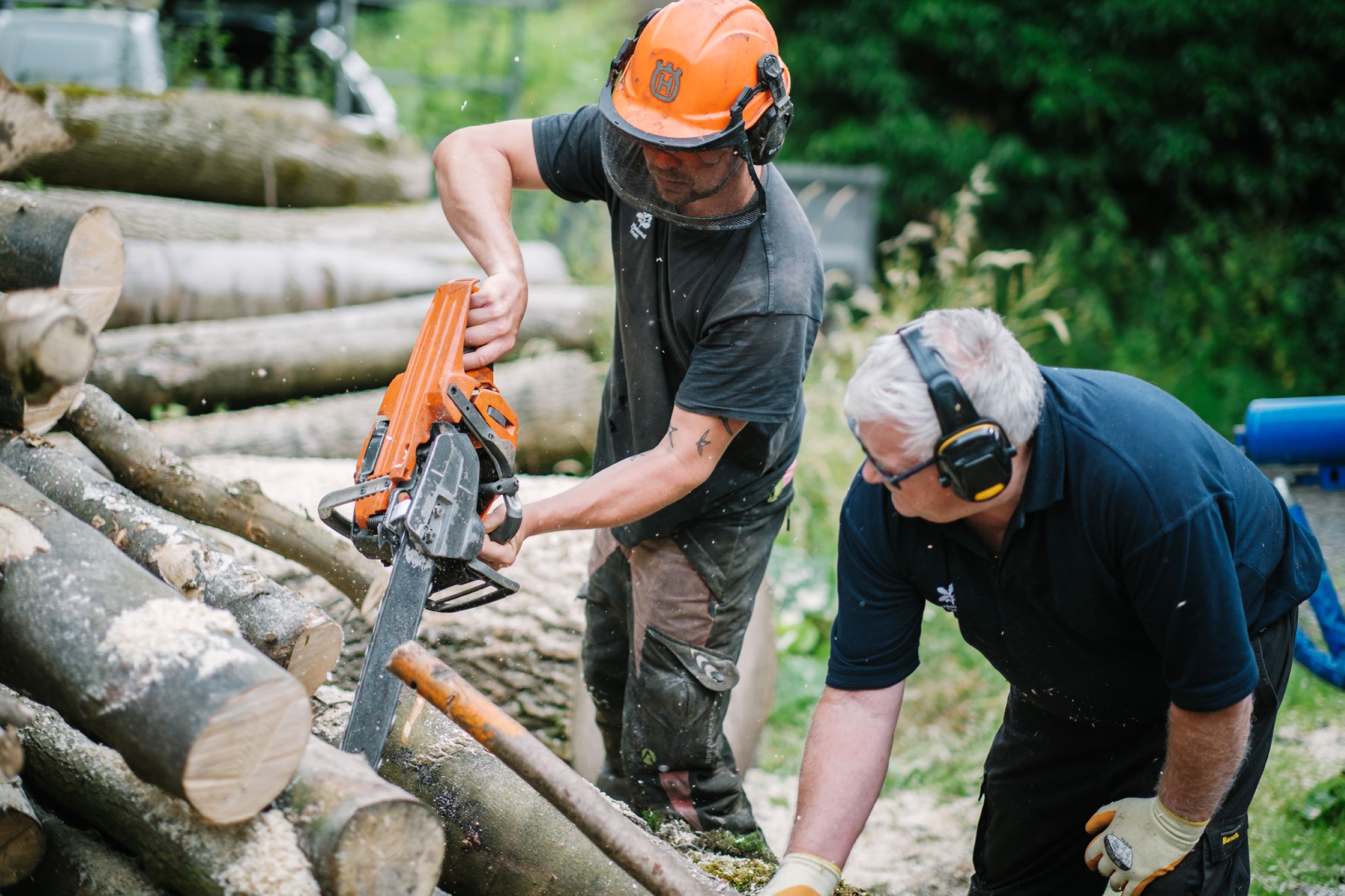 Ranger in a black t-shirt with the National Trust oak leaf white logo, wearing an orange safety hat and using a chainsaw. Next to him is a volunteer, wearing ear defenders, who is helping by holding the wood steady.