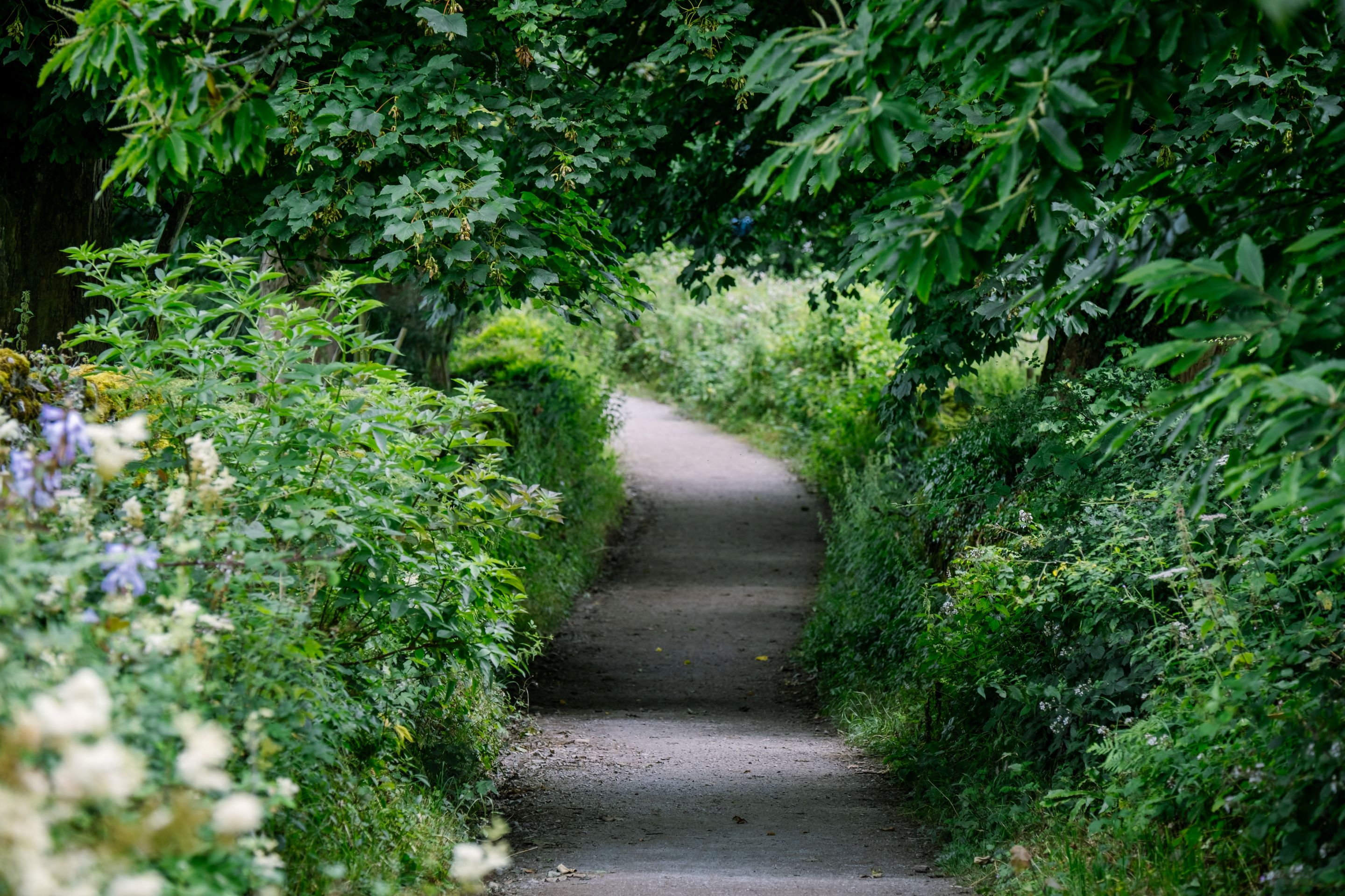 Visiting Sizergh's garden │ Cumbria | National Trust