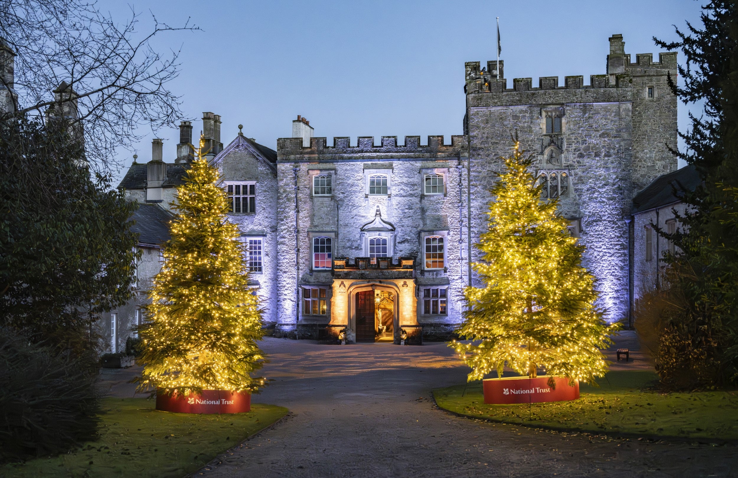 Two large Christmas trees with yellow lights at the entrance to the courtyard at Sizergh, and the grey stone manor house with its large oak  door standing open.
