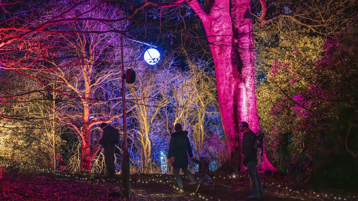 Winter at Sizergh | Cumbria