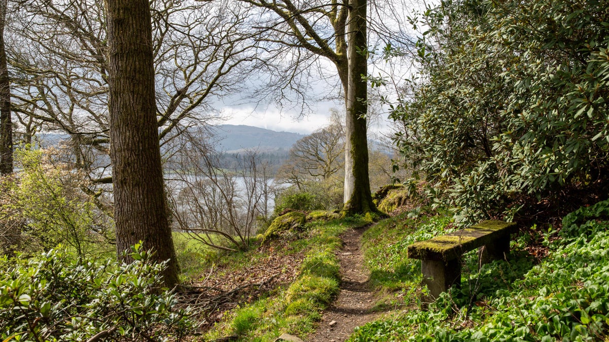 Stagshaw Garden & Ambleside Lake District National Trust