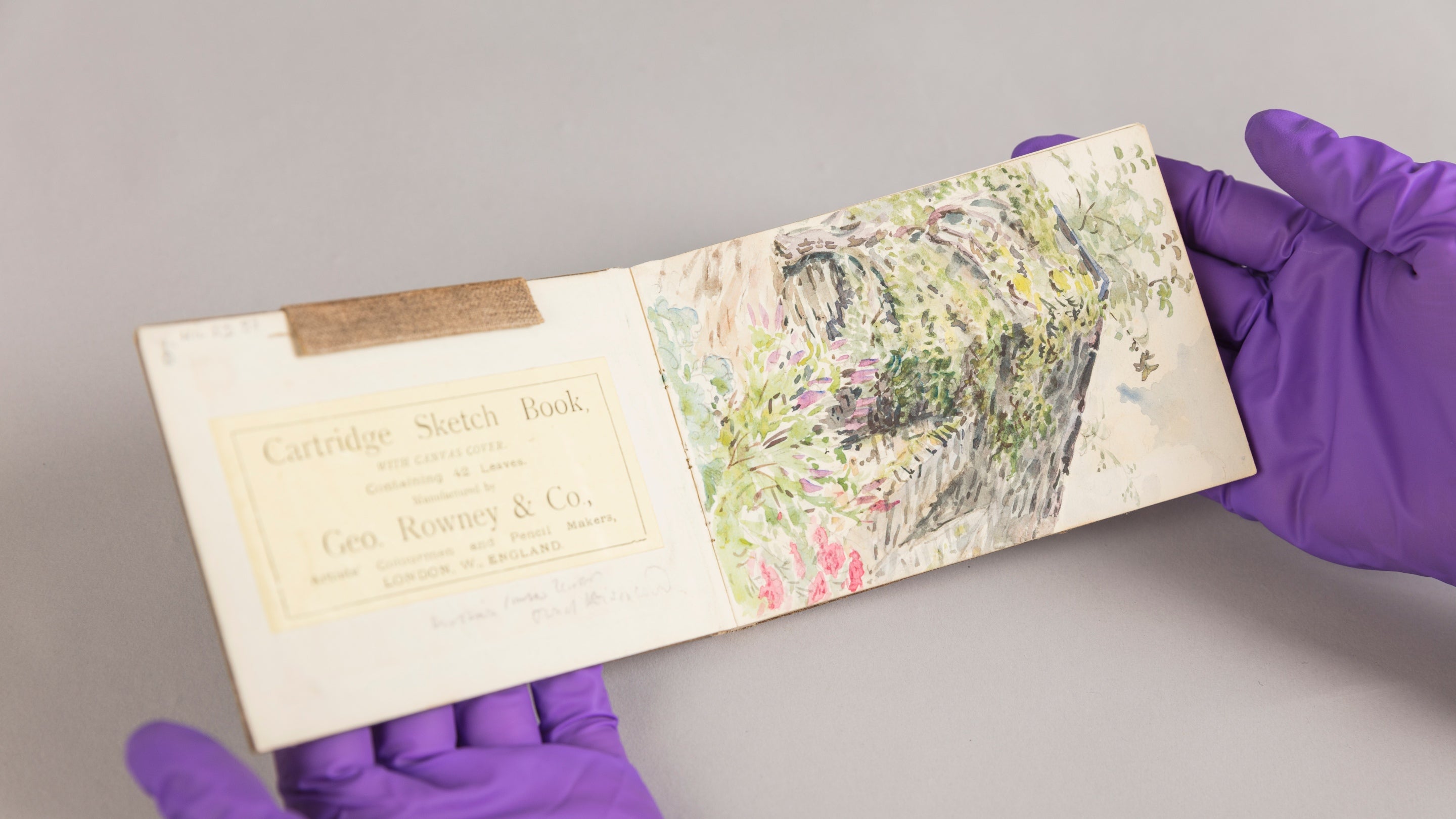 A notepad with a watercolour painting by Beatrix Potter being held up to the camera