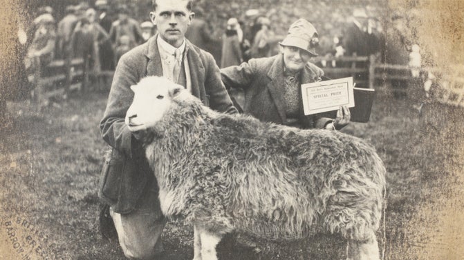 Photographic print showing Beatrix Potter, her shepherd (Tom Storey?) and a sheep at a show, with a prize.