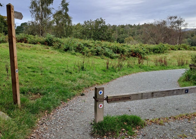 Image showing a wooden barrier and path on the Tarn Hows to Black Crag trail
