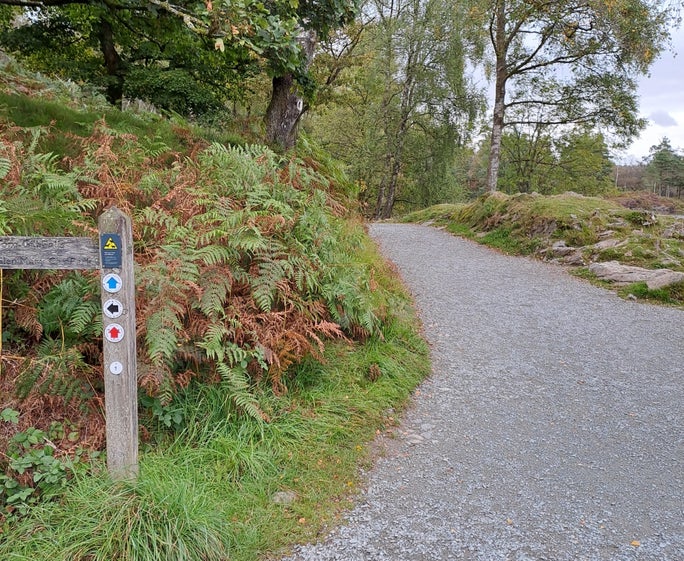 Image showing the waymarked path on the Tarn Hows to Black Crag trail
