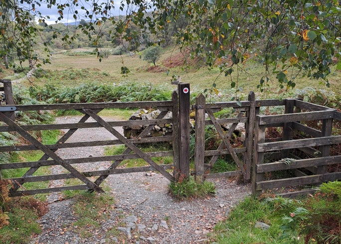 Image showing wooden gate on the Tarn Hows to Black Crag trail