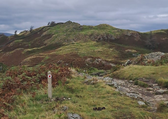 View of the Tarn Hows to Black Crag trail and surrounding fells showing the summit