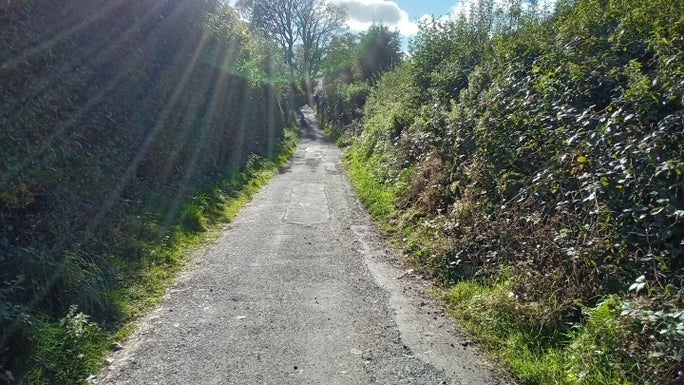 Narrow road with high hedges on either side, Little Langdale, Cumbria