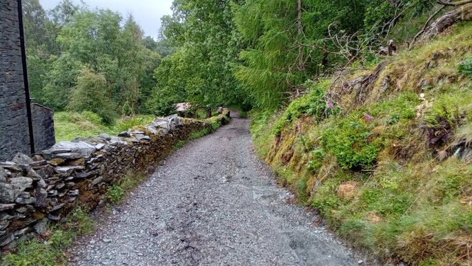 A stone bridleway enclosed by a drystone wall and a grassy banking, Hodge Close, Cumbria