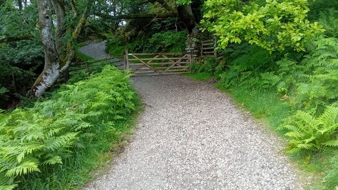 Gravel path with a wooden fence and grassy banks on either side
