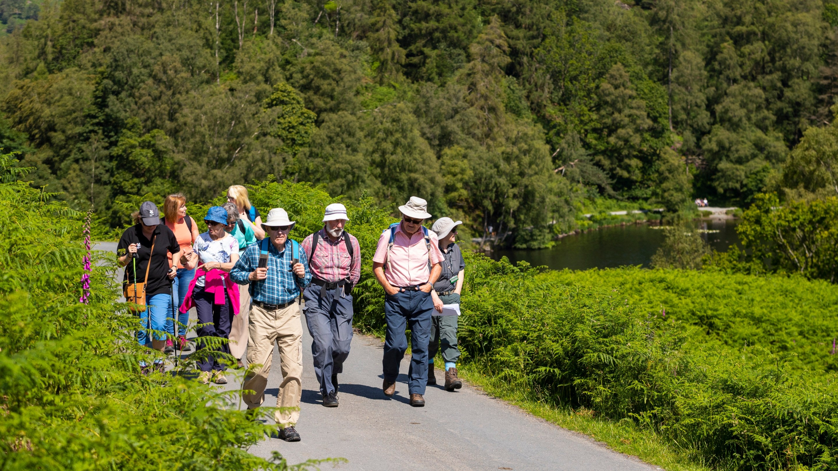 A walking group with volunteer guide at Tarn Hows, Cumbria