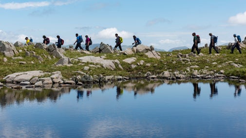 Stackpole wildlife walk | Pembrokeshire | National Trust