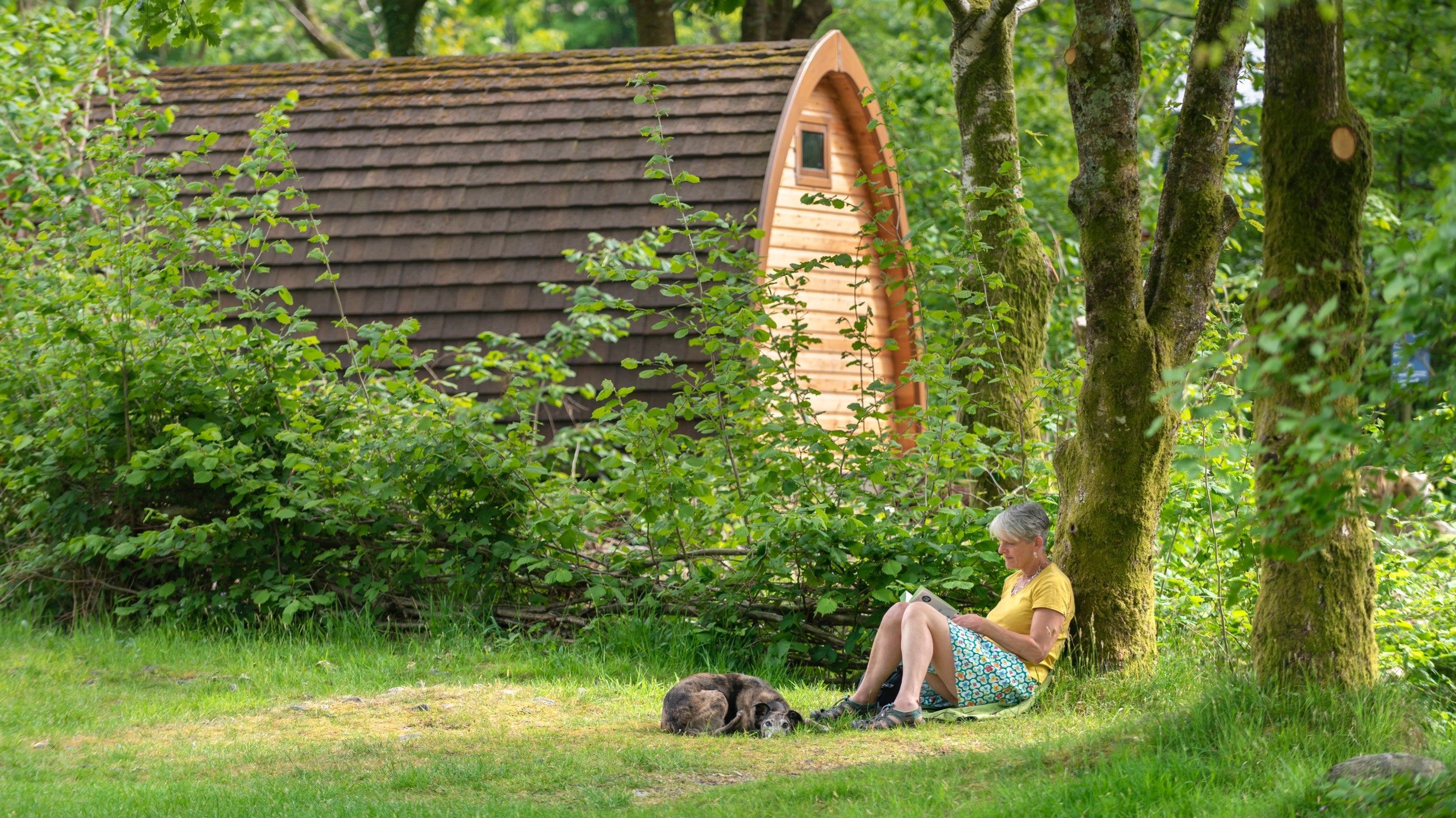 A camper and their dog sit by a tree with a hut in the background at Wasdale Campsite, Cumbria