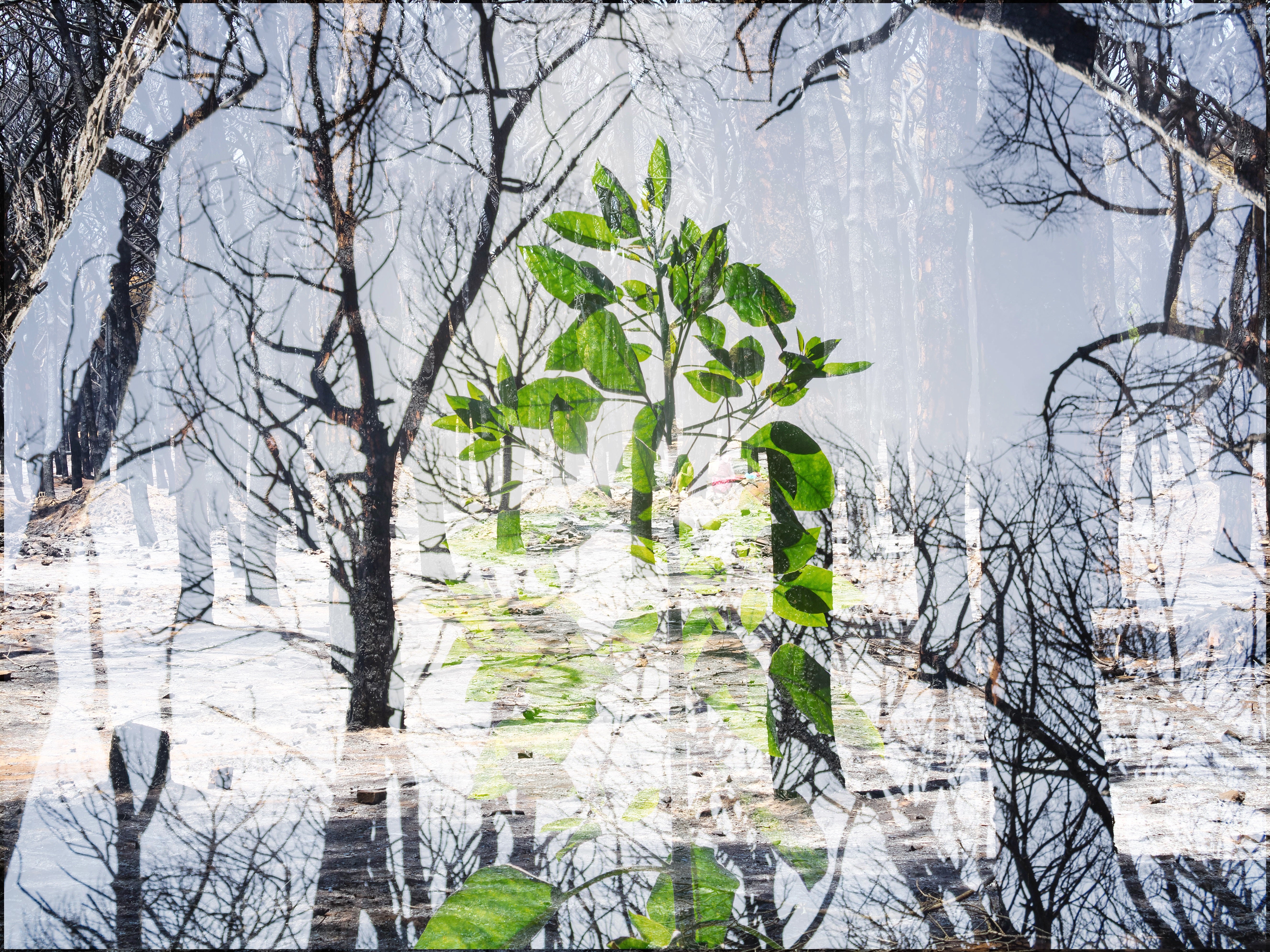 Abstract photo from the Earth Day photo exhibition entitled Consumed Living Spaces by Issam Chorrib La Hepica