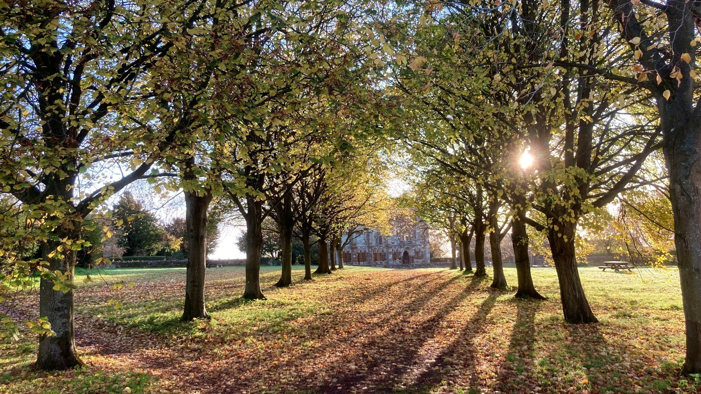 Autumn sunset over the Paddock at Canons Ashby, Northamptonshire.