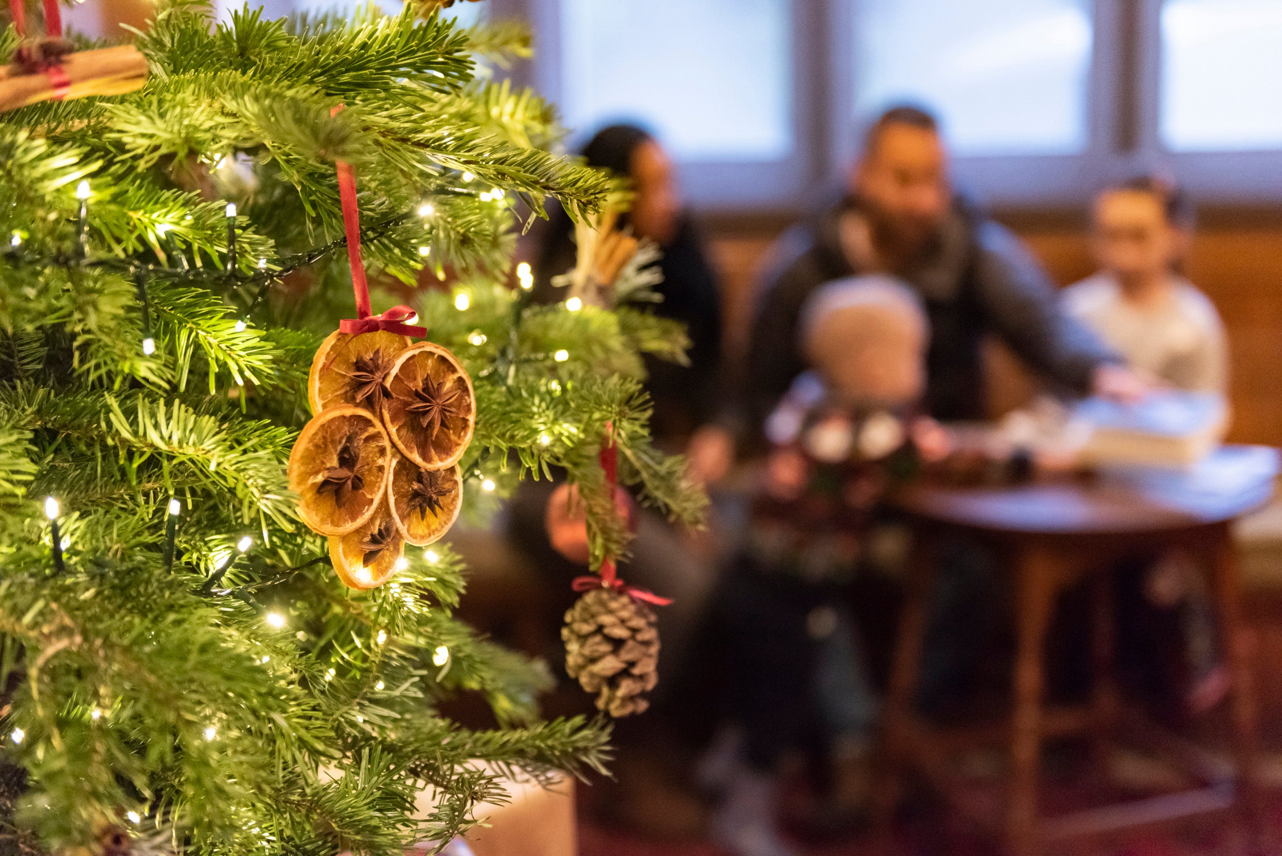 Family around a Christmas Tree