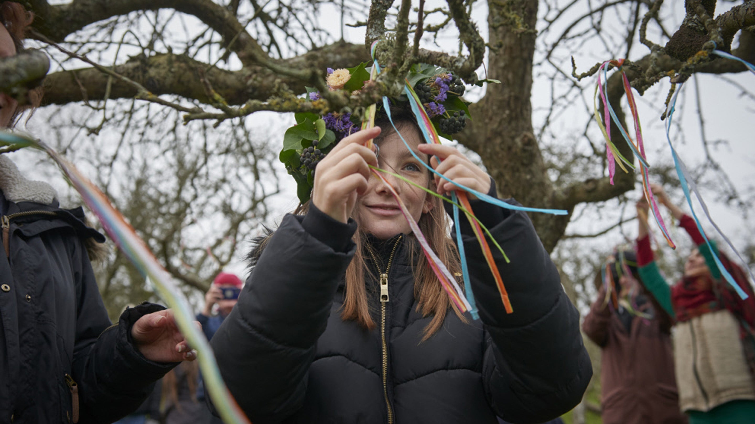 A young wassailer taking part in the festivities ties ribbons to an apple tree.