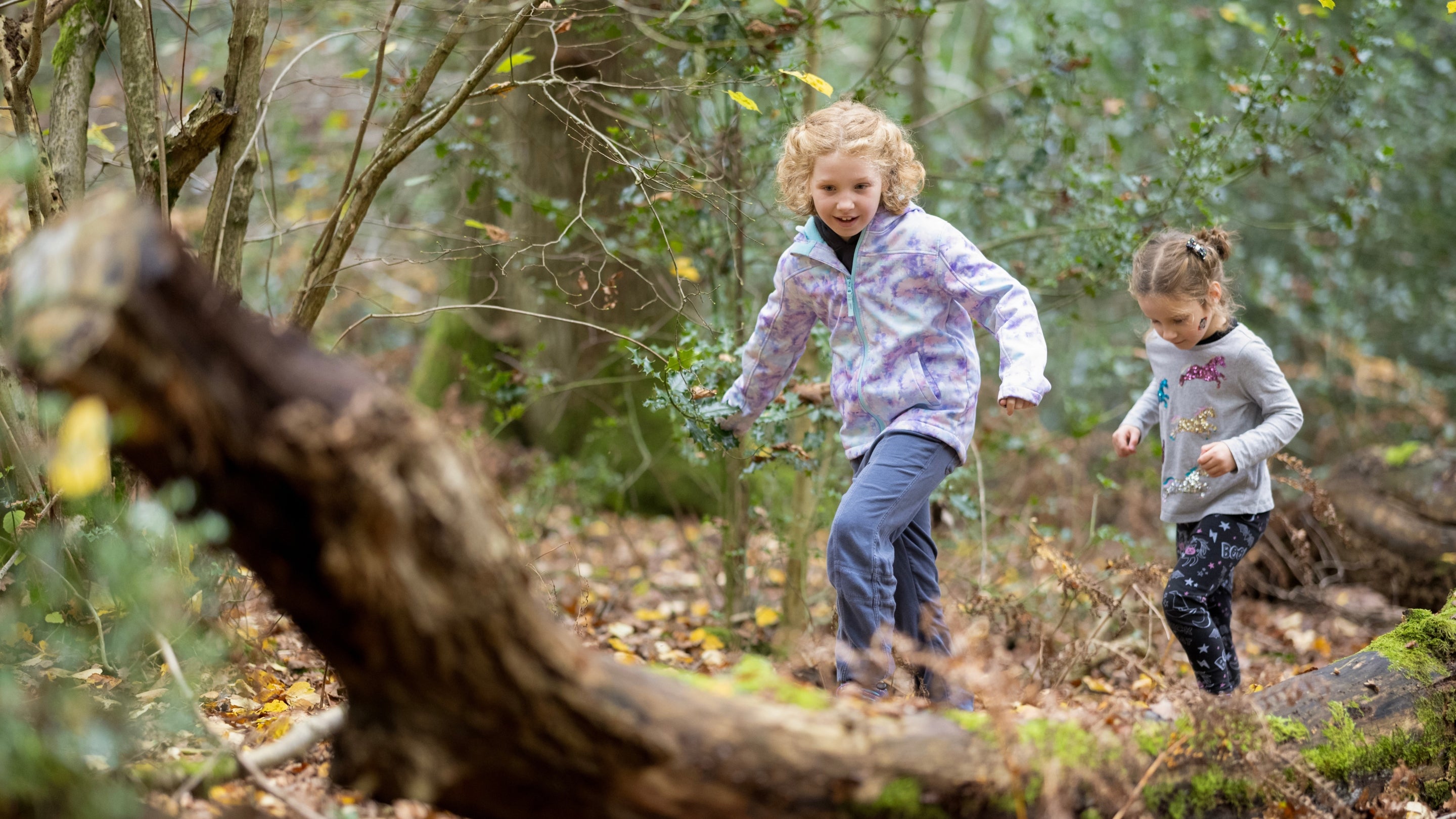Two children explore the woodland at Stoneywell, beside a moss covered log.