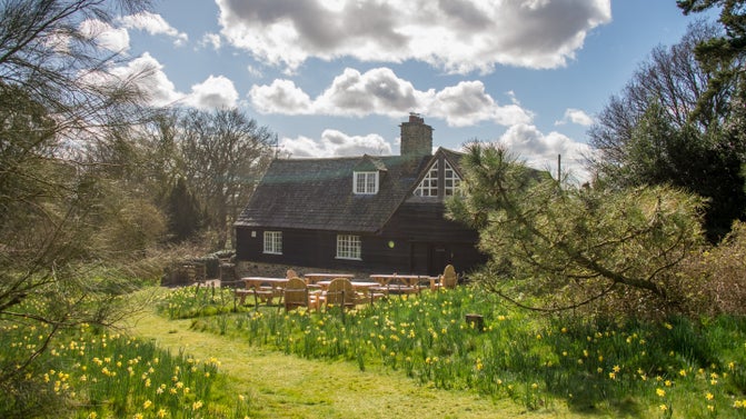 Outdoor seating by the tearoom at Stoneywell, surrounded by daffodils in the garden
