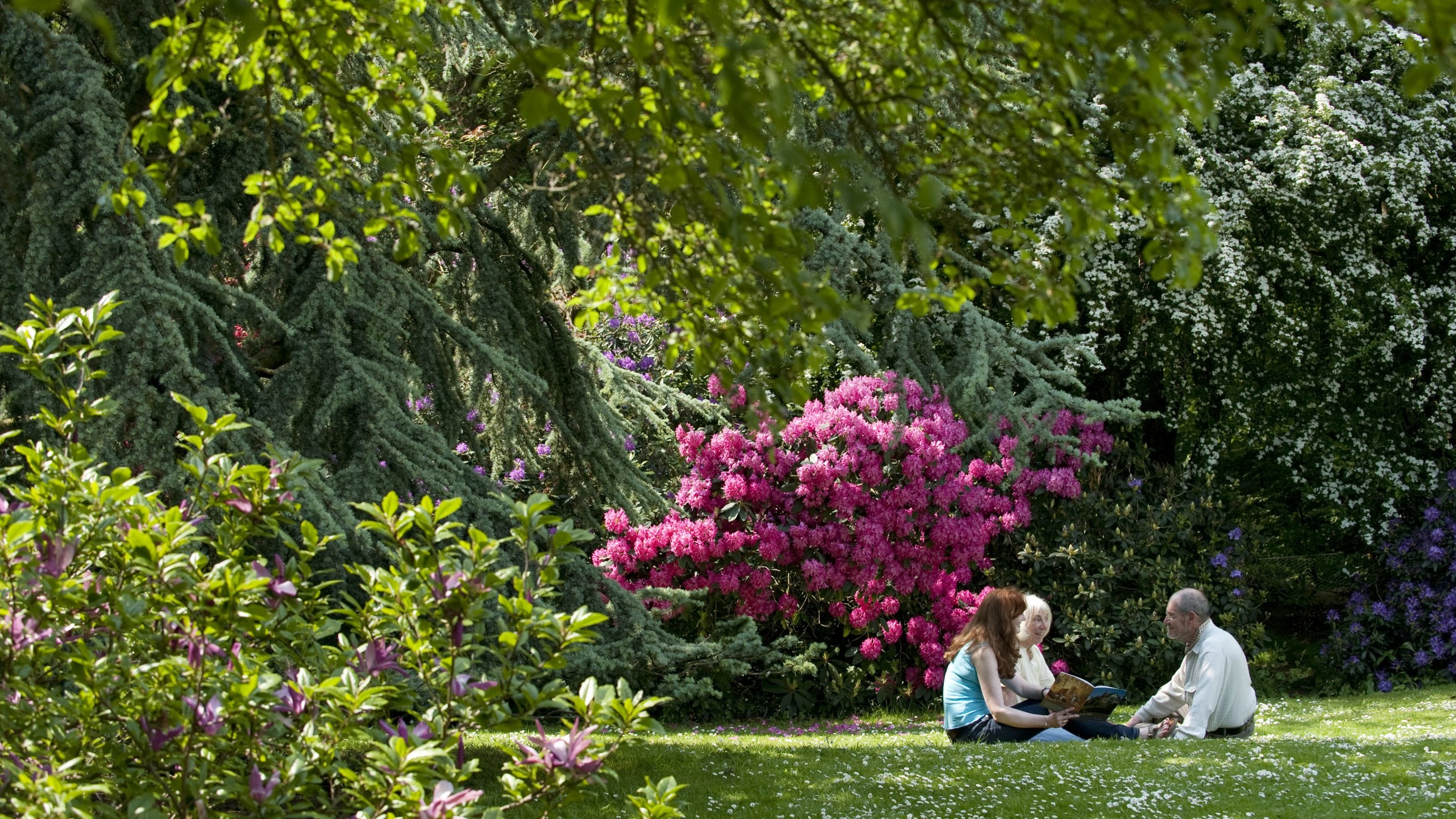 Visitors in the garden at Speke Hall, Liverpool