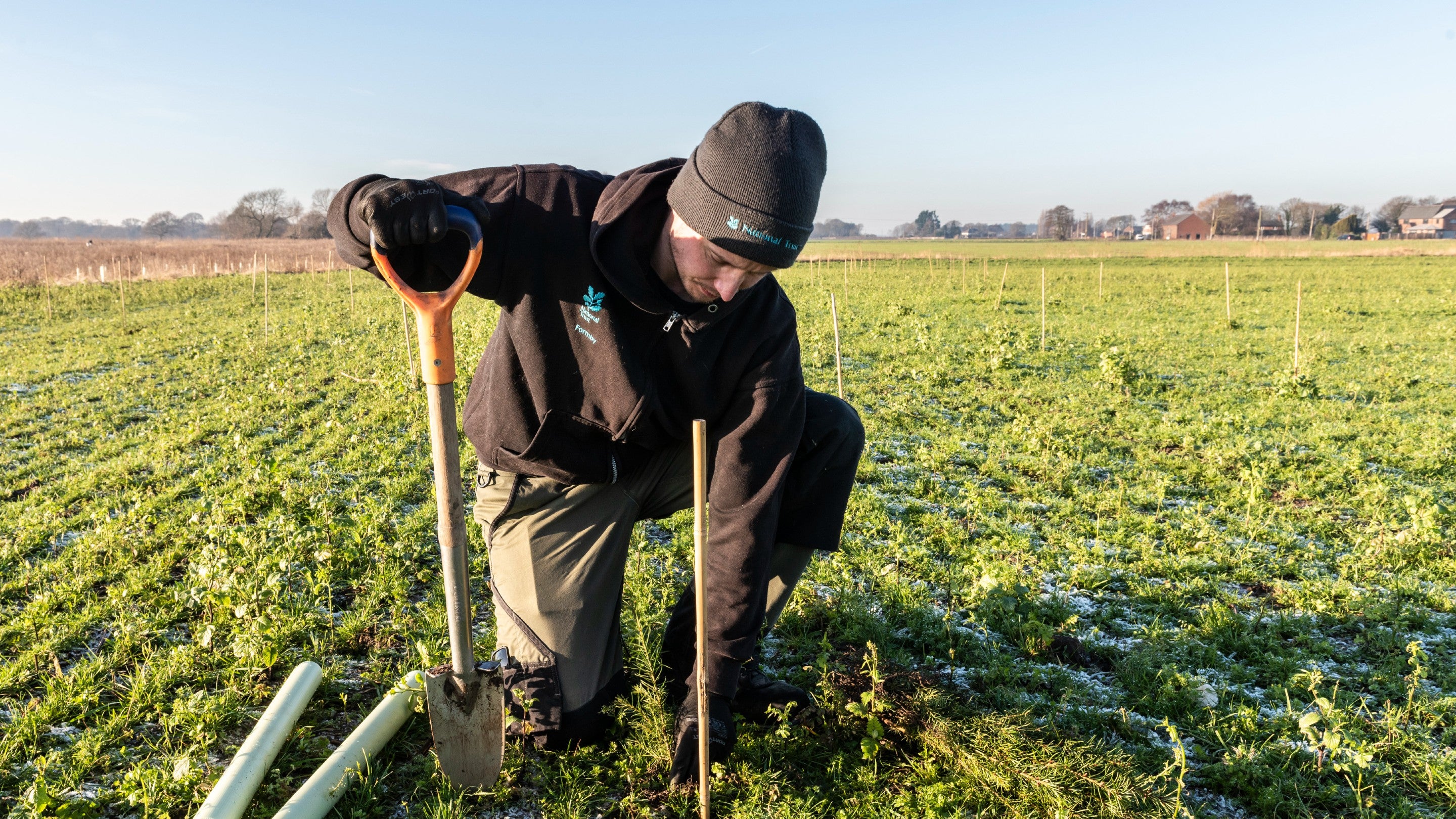 Planting trees at Lunt in Sefton, Merseyside, in winter