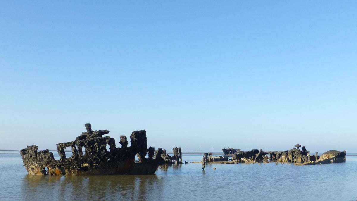 Things to see and do at Formby │ Liverpool National Trust