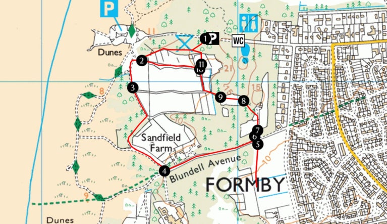 Formby Asparagus Trail