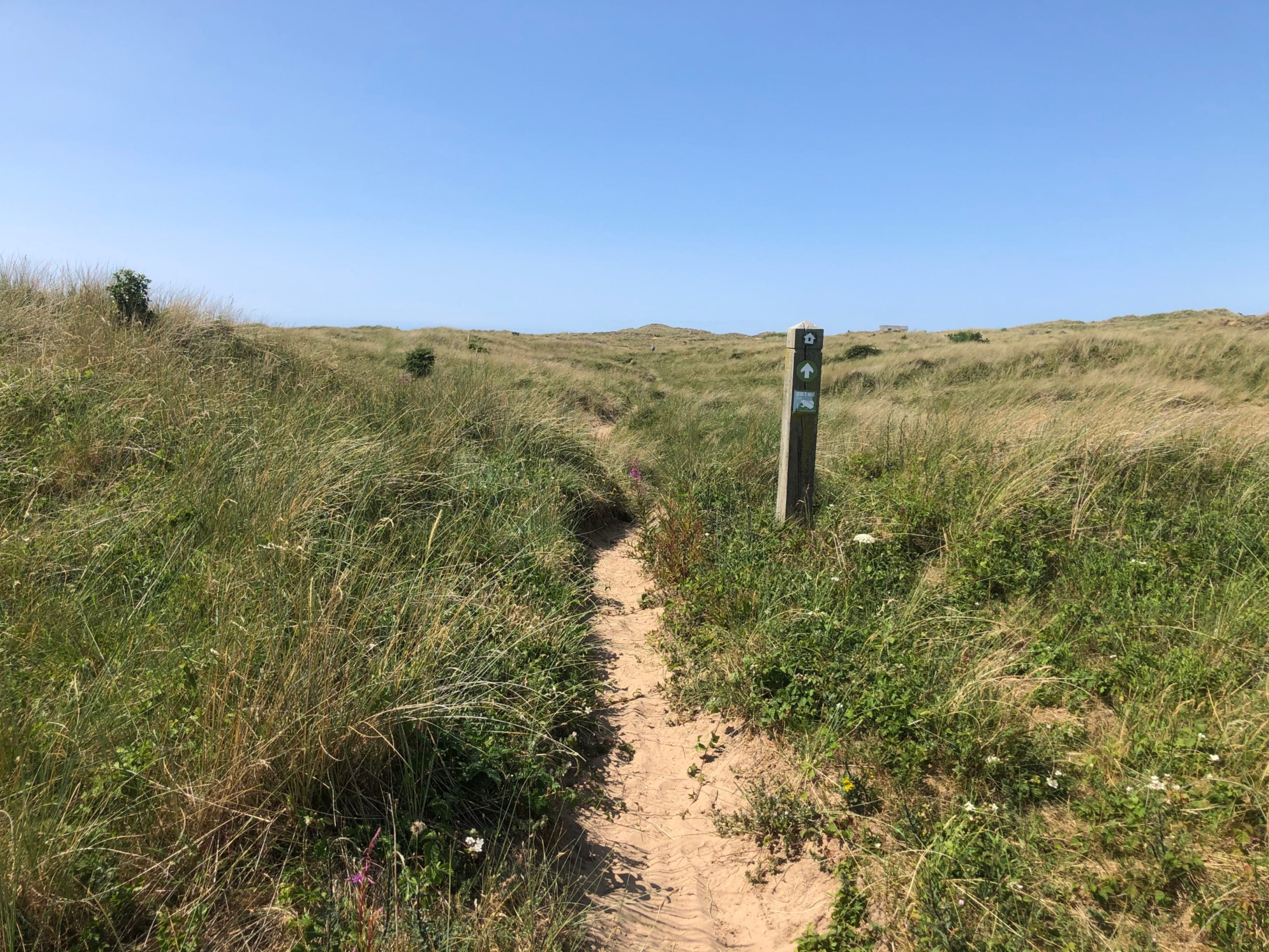 Image shows a sandy path towards devils hole at NT Formby, with marram grass either side