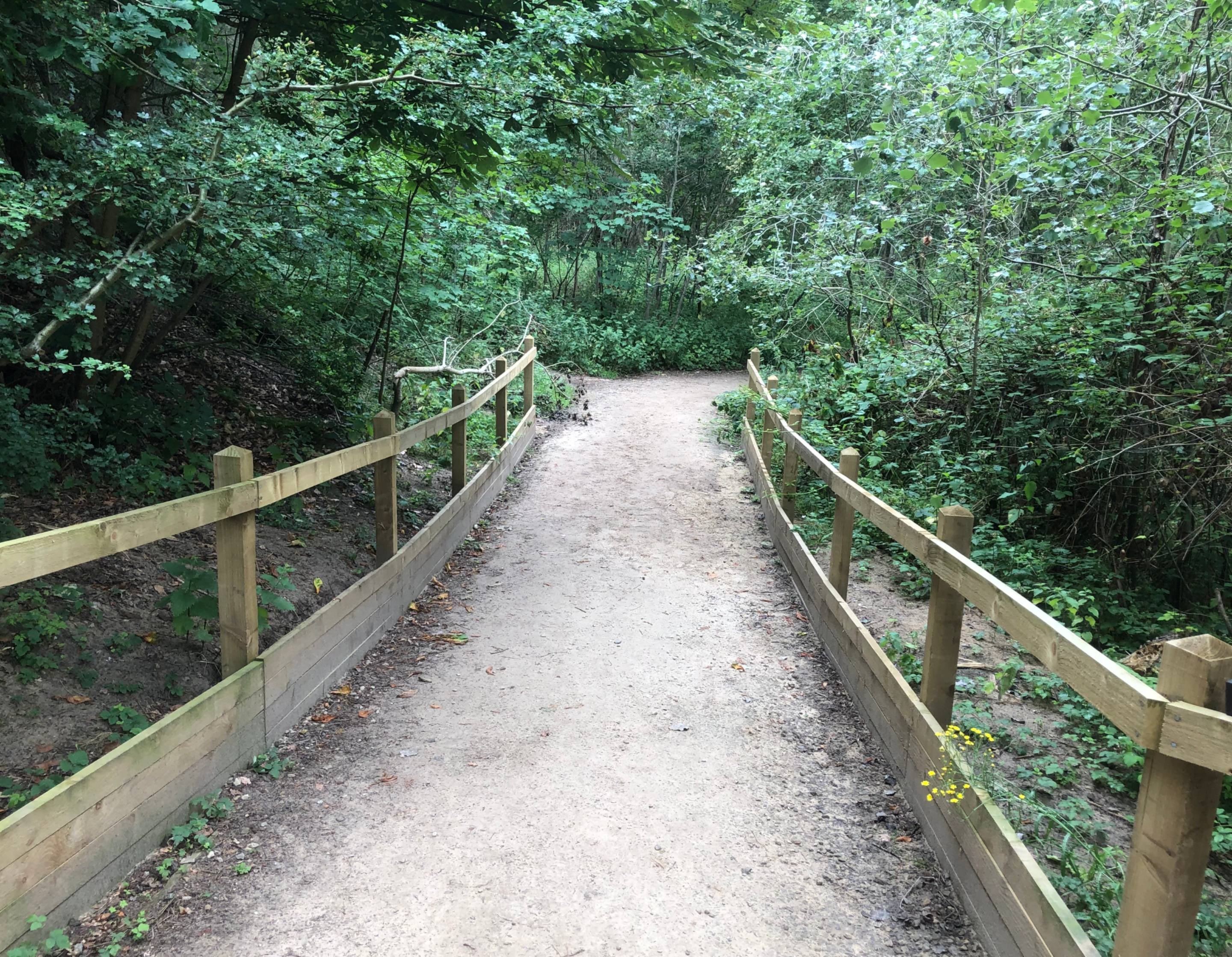 NT Formby Kirklake Path Trail Image