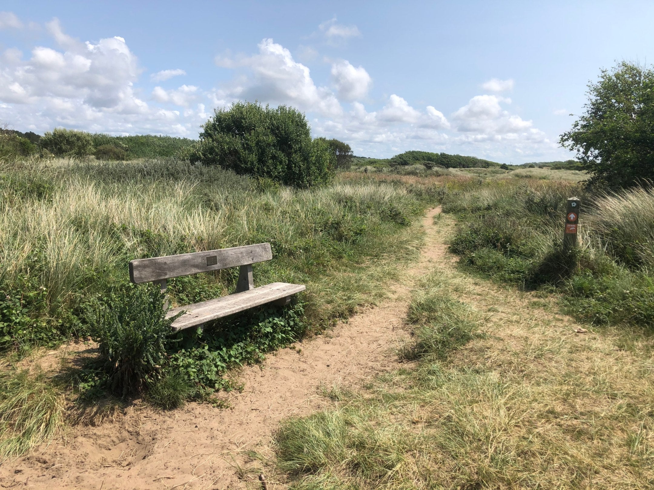 Image shows a bench on the Lost Resort trail, at NT Formby