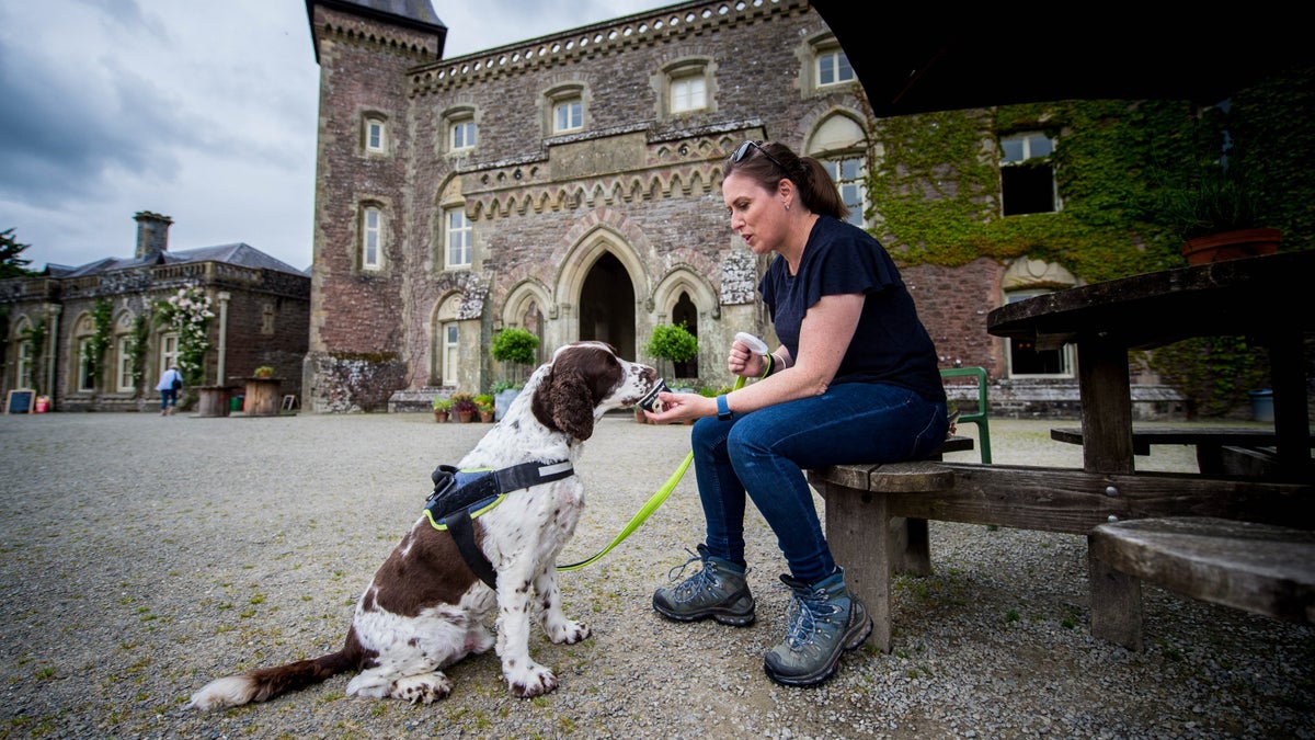 Visiting Trust places with your dog National Trust