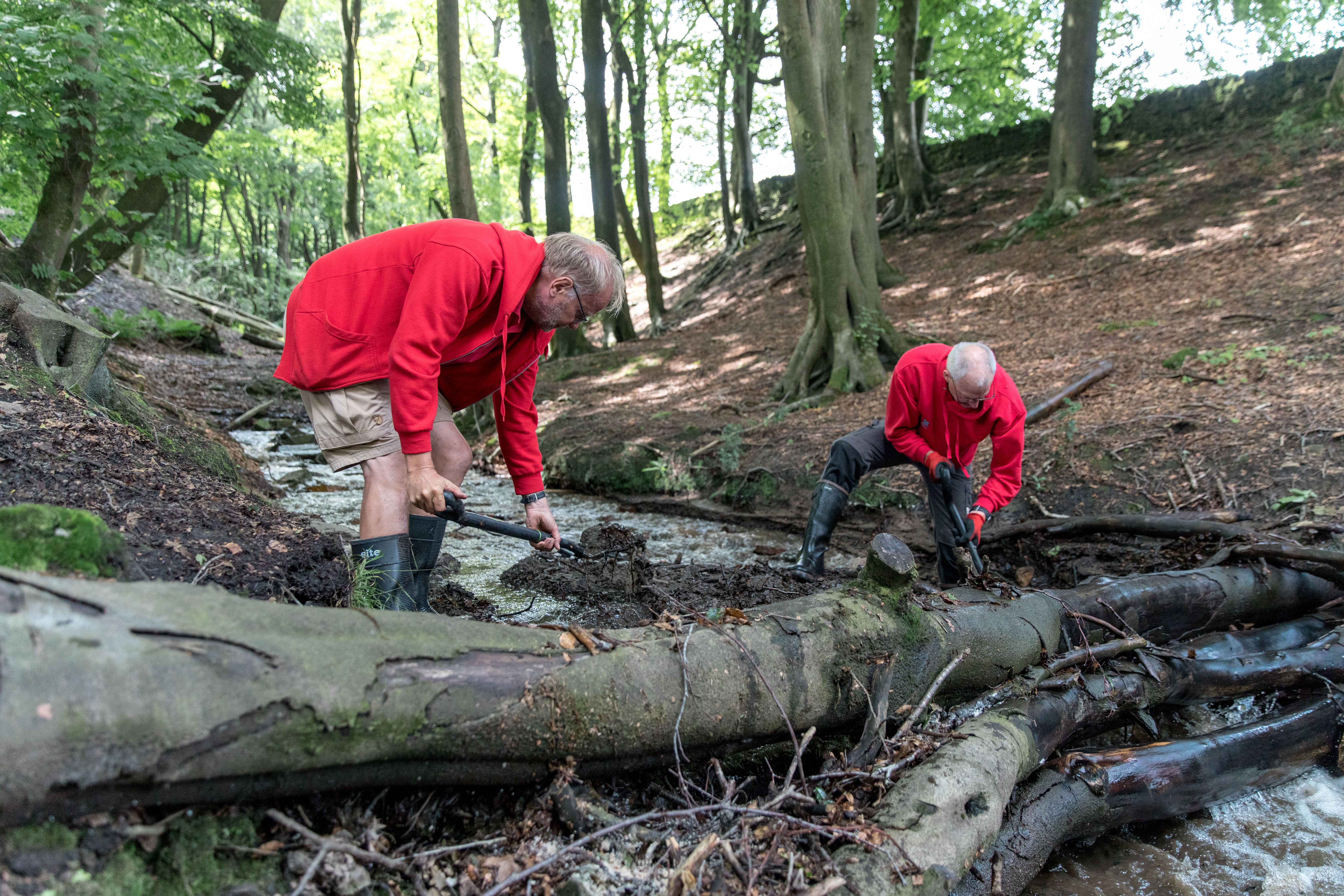 Leaky timber dams in Buckden Wood