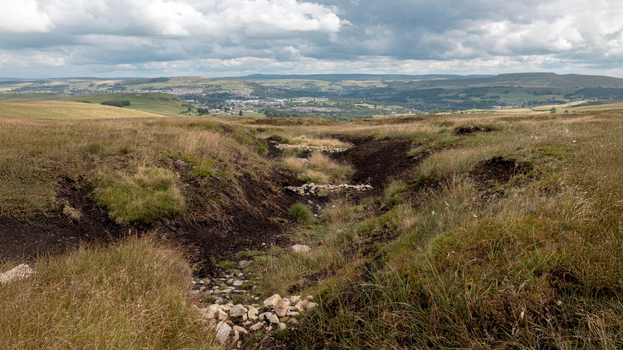 Permeable dams to restrict the flow of flood water on Holcombe Moor